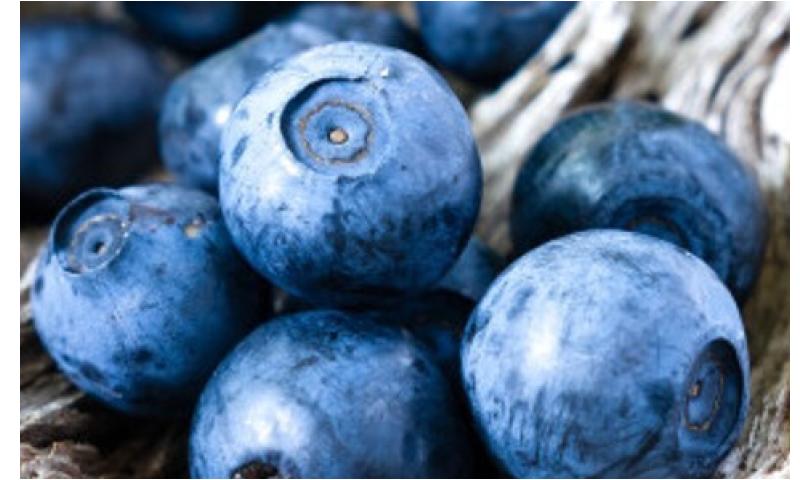 Blauwe bessen