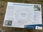 keltische boom
